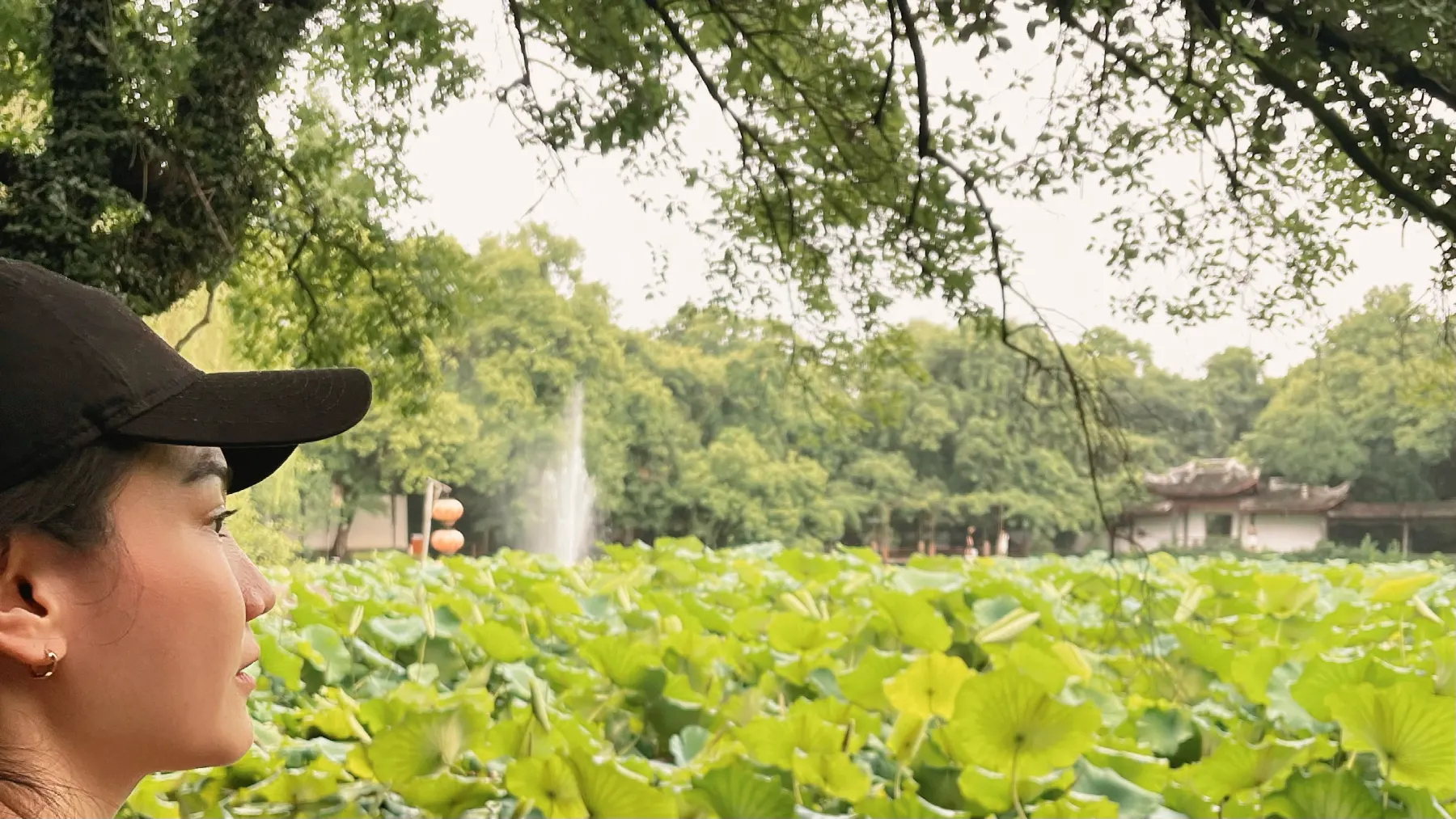 Veronica looking out across a lotus pond